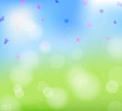 summer background with butterfly