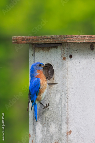 Photo: Nesting Box Blue Nesting Box Blue