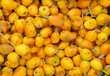 Marula fruit