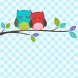 couple of owls