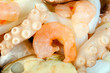 prawn octopus squid