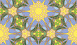 Kaleidoscope Star Burst Pattern Kaleidoscope Star Burst Pattern