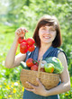 Happy  woman with basket of harvested vegetables