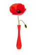 coquelicot et soliflore rouge, poppy and red vase