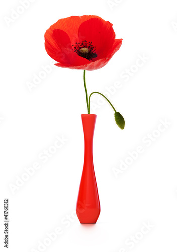 Photo: coquelicot et soliflore rouge, poppy and red vase coquelicot et soliflore rouge, poppy and red vase