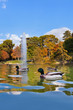 Ducks in pond near Crystal Palace - Madrid