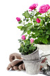 garden tools