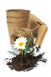 garden tools
