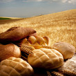Bread