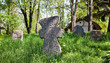 Ancient graves and hut