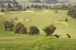 Golf Course at Worthing. West Sussex. England