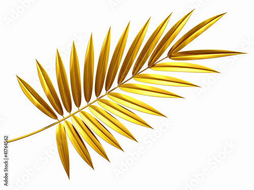 Illustration: golden palm frond golden palm frond
