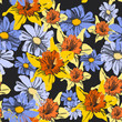 Abstract background with narcissus flower