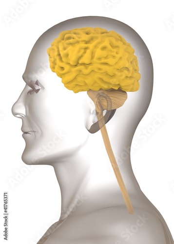 Illustration: 3d render of artificial character with brain 3d render of artificial character with brain