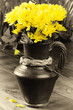 Yellow chrysanthemums in a vintage jug Yellow chrysanthemums in a vintage jug