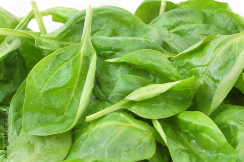 Photo: fresh spinach leafs close up fresh spinach leafs close up