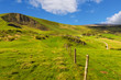 Mam Tor
