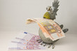 Pleitegeier