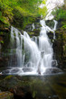 Torc waterfall in Killarney National Park, Ireland Torc waterfall in Killarney National Park, Ireland