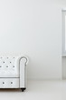 interior, leather sofa  in white room