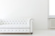 interior, leather sofa  in white room