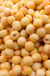 Apricots in the market Apricots in the market