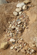 Photo: Dry soil texture Dry soil texture
