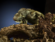 Foto: Creepy dragon. Creepy dragon.