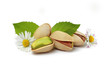 pistacchi, foglie e fiorellini