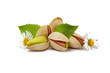 pistacchi, foglie e fiorellini