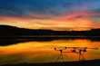 canvas print picture - Angeln im Farbenmeer