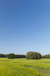 Sommerlandschaft