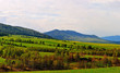 Spring landscape Spring landscape