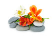 Lily flower and pebble. Lily flower and pebble.