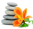 Lily flower and pebble. Lily flower and pebble.