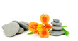 Lily flower and pebble. Lily flower and pebble.
