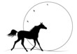 running horse