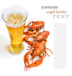 the red lobster with a glass of beer