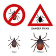 Tick warning sign, detailed illustration of ticks.