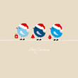 3 Blue Birds Holding Christmas Symbols
