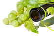 Weinflasche mit Weinrebe