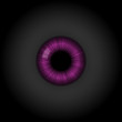 Auge
