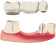 dentista