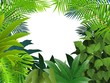 Tropical forest background