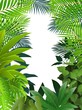 Tropical forest background