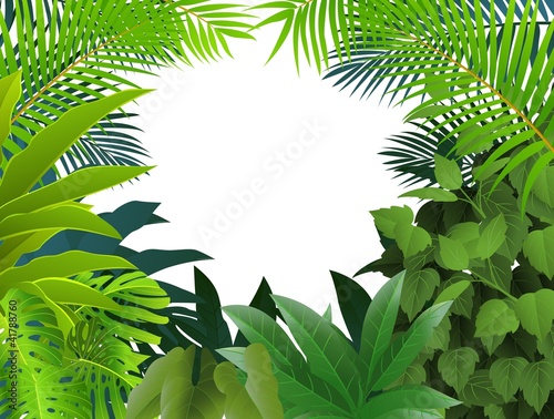 Vector: Tropical forest background Tropical forest background