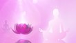 Lotus Meditation