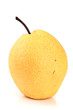 Oriental pear on a white background