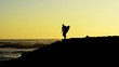 Surfer at sunset Surfer at sunset