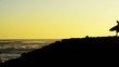 Surfer at sunset Surfer at sunset